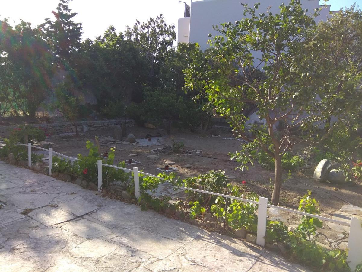 Alex Studios Tinos Exterior photo